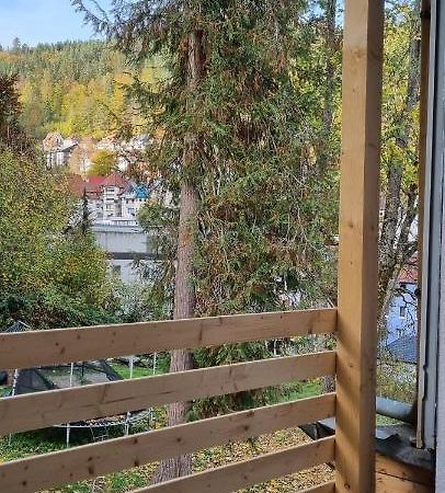 Sm3 Apartment Triberg im Schwarzwald Extérieur photo
