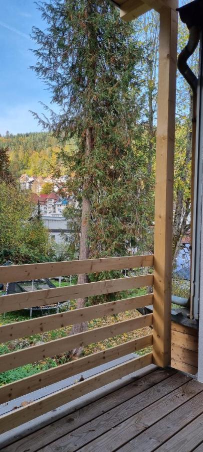 Sm3 Apartment Triberg im Schwarzwald Extérieur photo